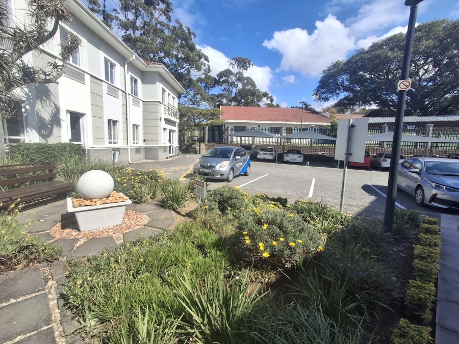 To Let Commercial Property for Rent in Berea Eastern Cape